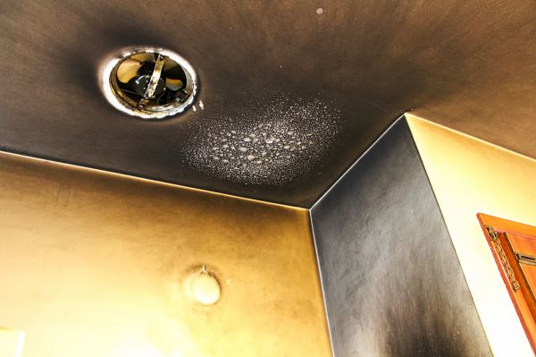 Smoke Damage Removal